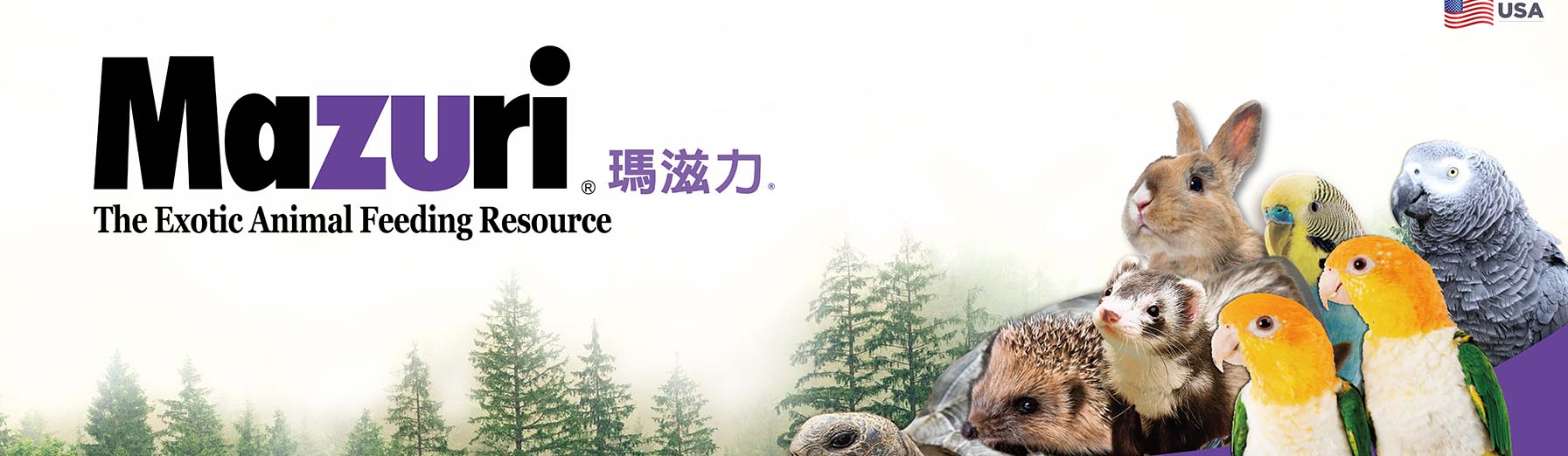 特寵專科